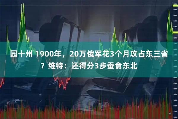 园十州 1900年，20万俄军花3个月攻占东三省？维特：还得分3步蚕食东北