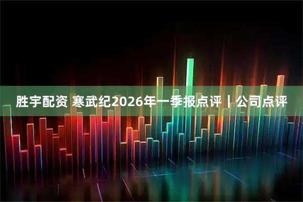 胜宇配资 寒武纪2026年一季报点评｜公司点评